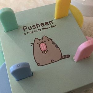 Pusheen Popsicle Maker